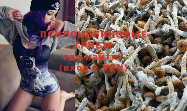 ПСИЛОЦИБИНОВЫЕ ГРИБЫ Алексеевка