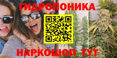 дмт Тара