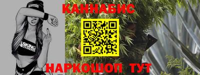 дмт Тара