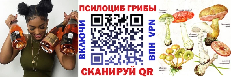 KRAKEN ссылки  Осинники  Псилоцибиновые грибы Cubensis 