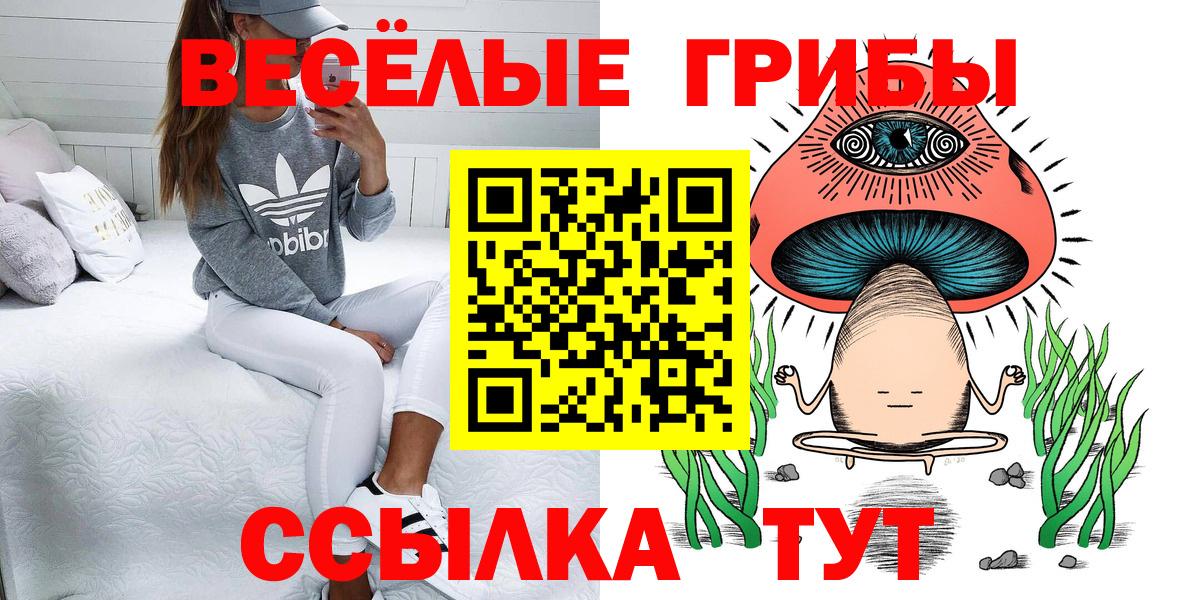 Галлюциногенные грибы Psilocybe  что такое   Осинники  Вход с VPN 